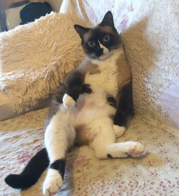 #